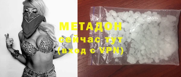 индика Каменногорск