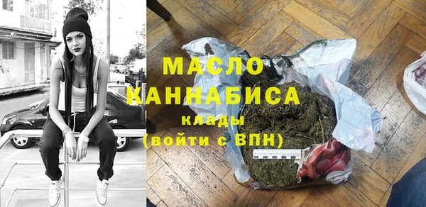 индика Каменногорск