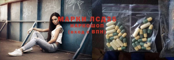 индика Каменногорск