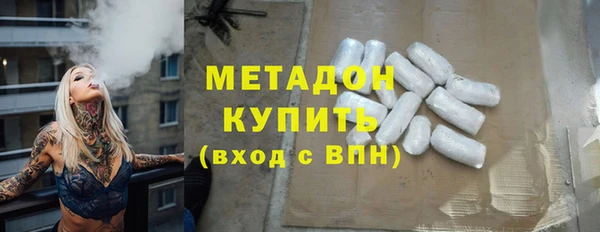 индика Каменногорск