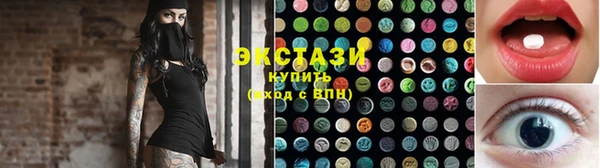 индика Каменногорск