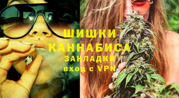 индика Каменногорск