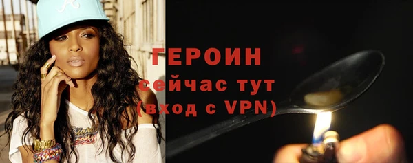 индика Каменногорск