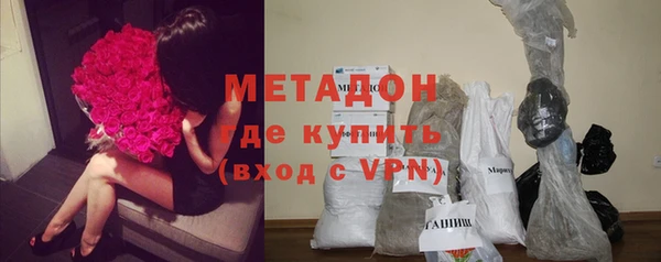 индика Каменногорск