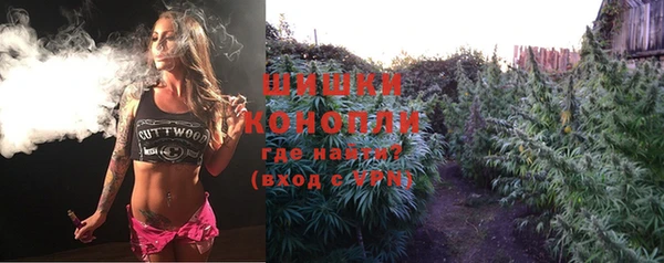 ECSTASY Каменка