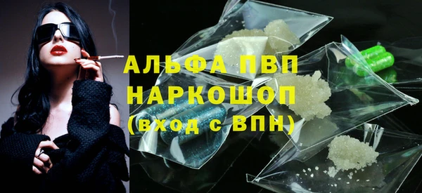 ECSTASY Каменка