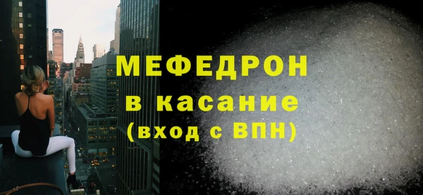 индика Каменногорск