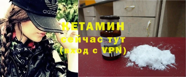индика Каменногорск