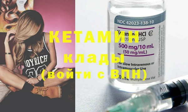 индика Каменногорск