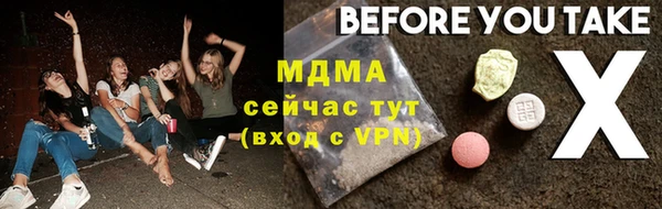 индика Каменногорск