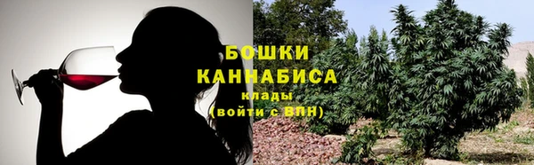 ECSTASY Каменка