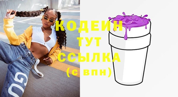 индика Каменногорск