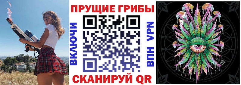 мега Новомичуринск Псилоцибиновые грибы прущие грибы