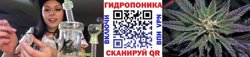 Конопля конопля  мега как войти  Новомичуринск 